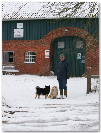 Islandpferde Barghof