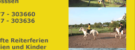Reiterferien f&uuml;r Familien